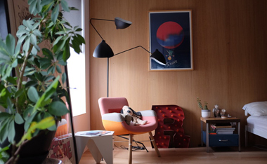 Williamsburg gut renovation